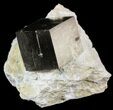 Pyrite Cube In Matrix - Navajun, Spain #51224-1
